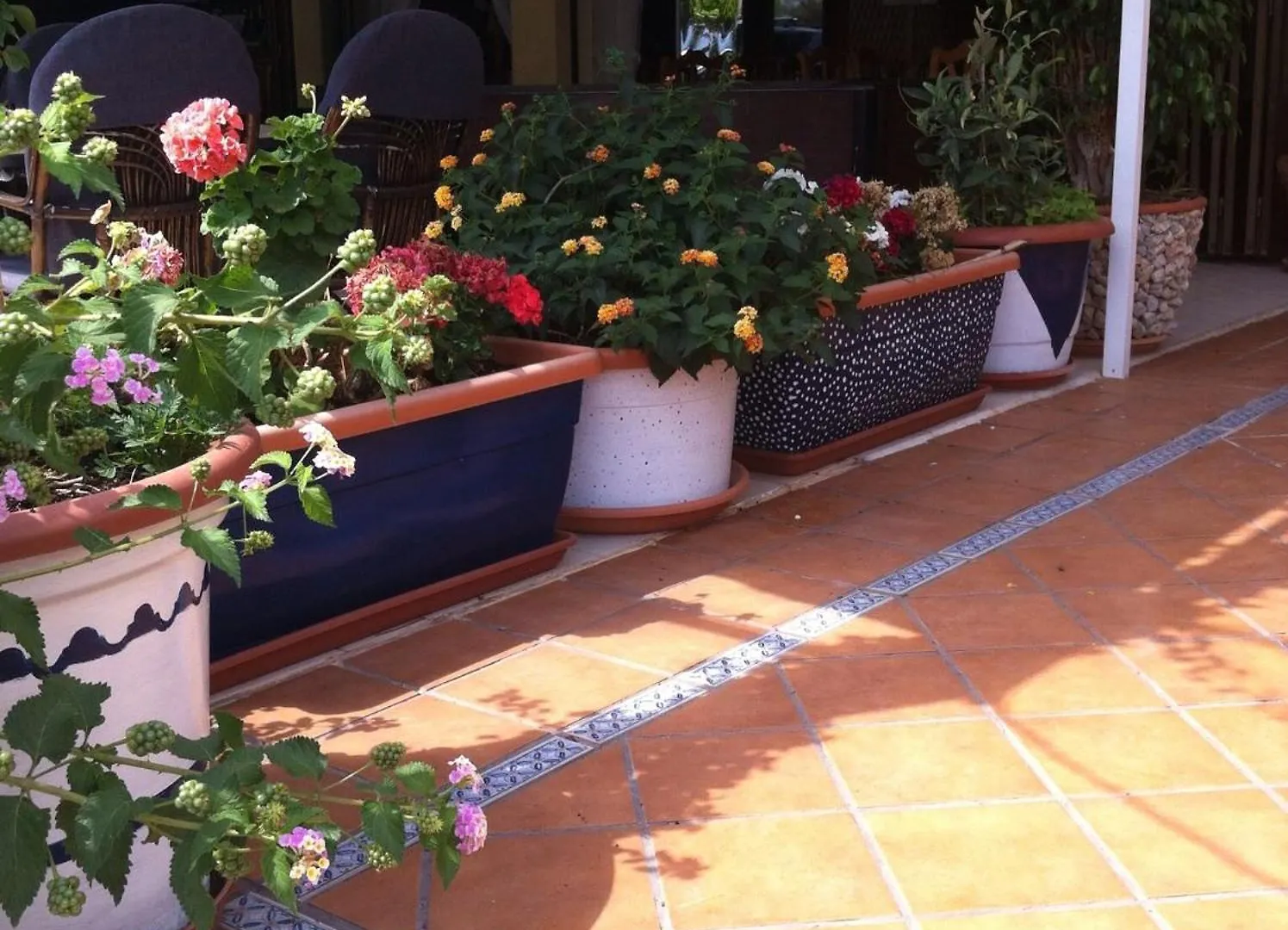 Hostal Roberto Palma Nova  Hiszpania